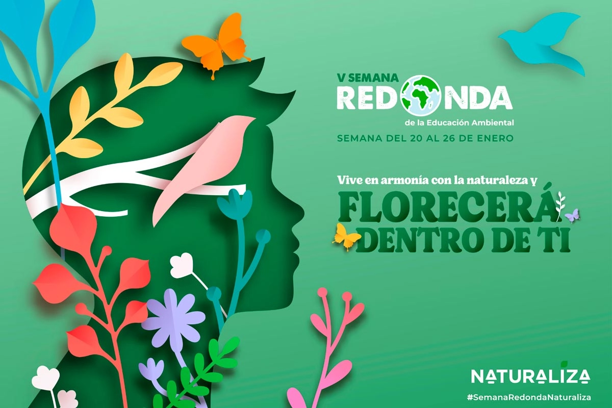 cartel semana redonda